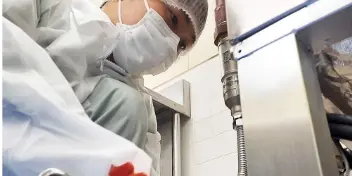 先輩社員の声